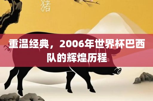 重温经典，2006年世界杯巴西队的辉煌历程