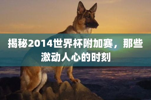 揭秘2014世界杯附加赛，那些激动人心的时刻