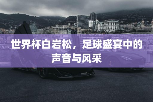 世界杯白岩松，足球盛宴中的声音与风采