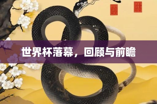 世界杯落幕，回顾与前瞻