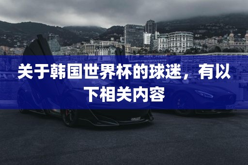 关于韩国世界杯的球迷，有以下相关内容