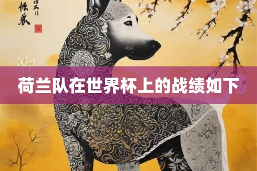 荷兰队在世界杯上的战绩如下