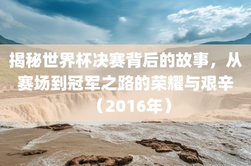 揭秘世界杯决赛背后的故事，从赛场到冠军之路的荣耀与艰辛（2016年）