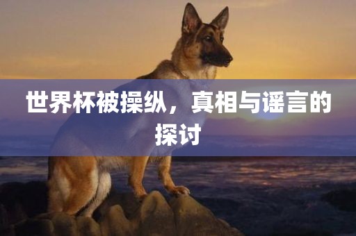 世界杯被操纵，真相与谣言的探讨