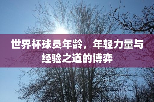 世界杯球员年龄，年轻力量与经验之道的博弈