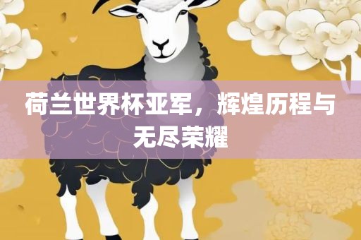 荷兰世界杯亚军，辉煌历程与无尽荣耀