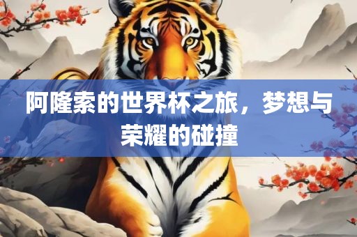 阿隆索的世界杯之旅，梦想与荣耀的碰撞