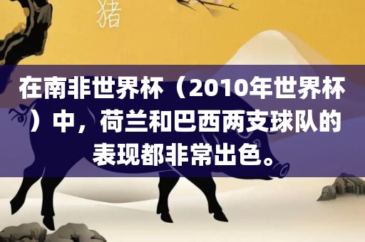 在南非世界杯（2010年世界杯）中，荷兰和巴西两支球队的表现都非常出色。