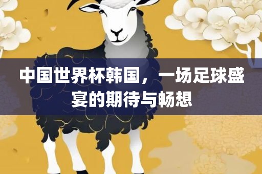 中国世界杯韩国，一场足球盛宴的期待与畅想