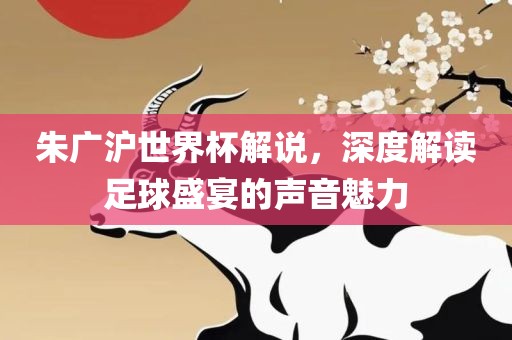 朱广沪世界杯解说，深度解读足球盛宴的声音魅力