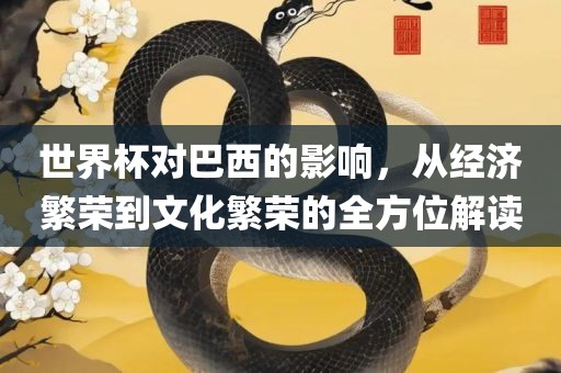 世界杯对巴西的影响，从经济繁荣到文化繁荣的全方位解读