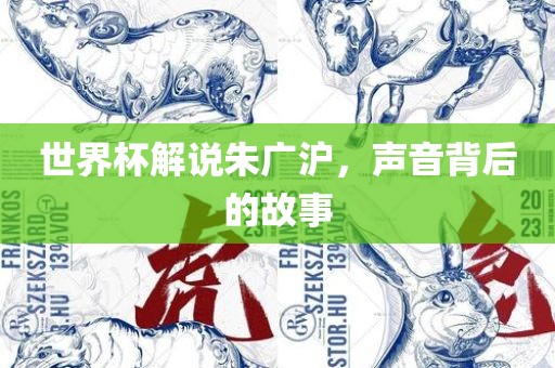 世界杯解说朱广沪，声音背后的故事