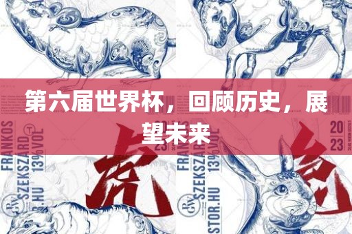 第六届世界杯，回顾历史，展望未来