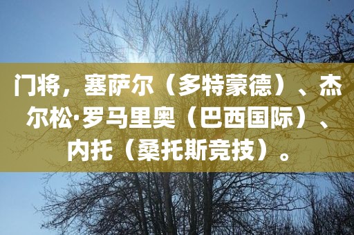 门将，塞萨尔（多特蒙德）、杰尔松·罗马里奥（巴西国际）、内托（桑托斯竞技）。