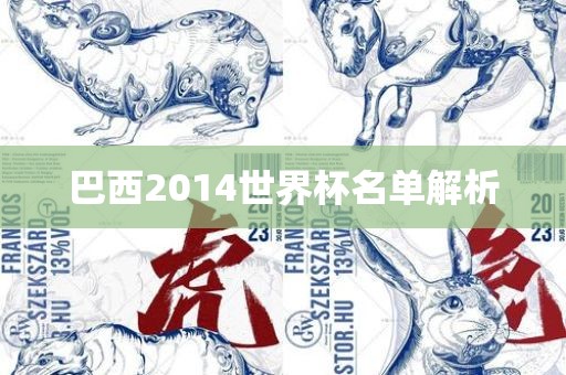 巴西2014世界杯名单解析