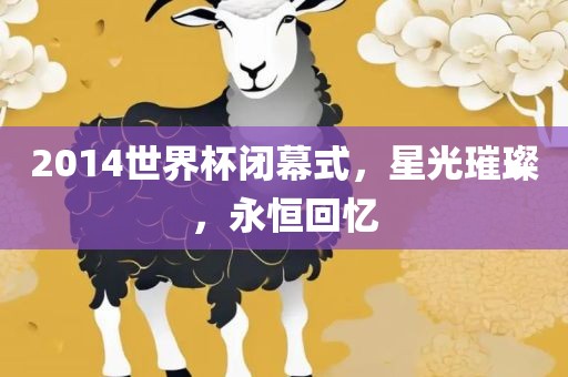 2014世界杯闭幕式，星光璀璨，永恒回忆