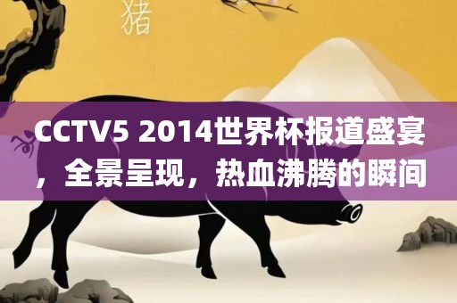 CCTV5 2014世界杯报道盛宴，全景呈现，热血沸腾的瞬间
