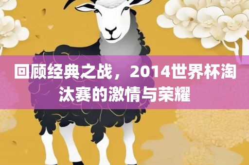 回顾经典之战，2014世界杯淘汰赛的激情与荣耀