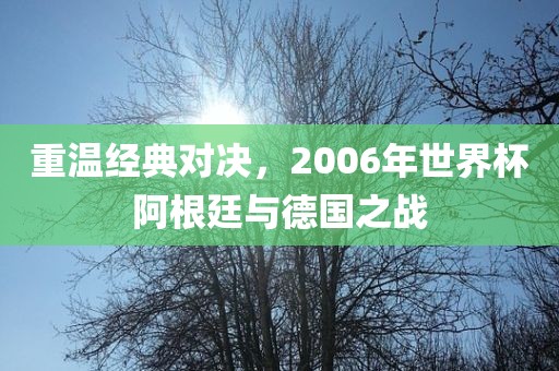 重温经典对决，2006年世界杯阿根廷与德国之战