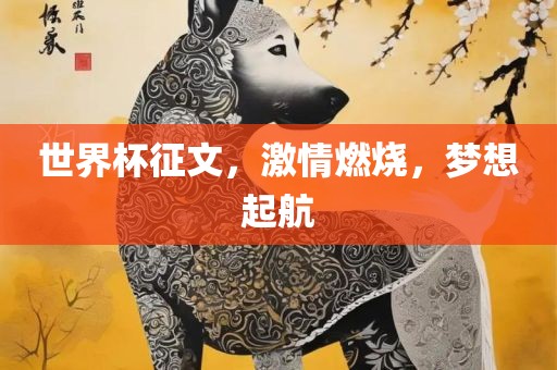 世界杯征文，激情燃烧，梦想起航