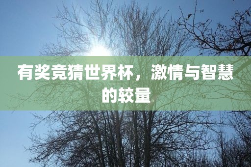 有奖竞猜世界杯，激情与智慧的较量