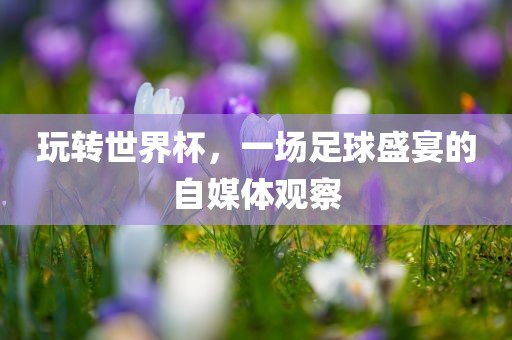 玩转世界杯，一场足球盛宴的自媒体观察