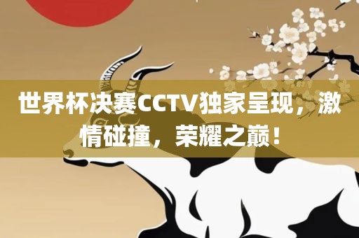 世界杯决赛CCTV独家呈现，激情碰撞，荣耀之巅！