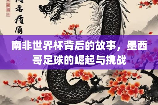 南非世界杯背后的故事，墨西哥足球的崛起与挑战