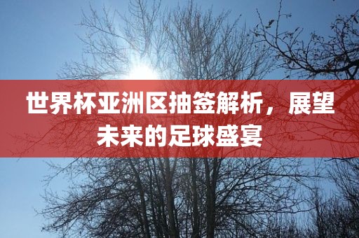 世界杯亚洲区抽签解析，展望未来的足球盛宴