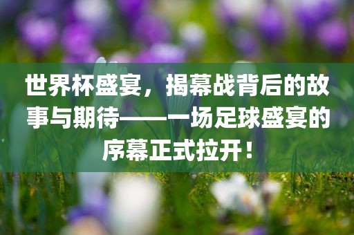 世界杯盛宴，揭幕战背后的故事与期待——一场足球盛宴的序幕正式拉开！