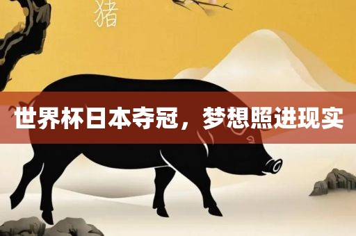 世界杯日本夺冠，梦想照进现实