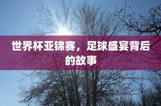 世界杯亚锦赛，足球盛宴背后的故事