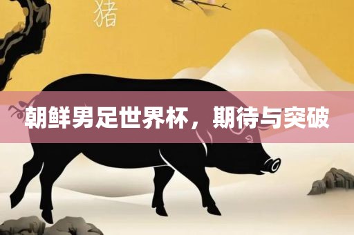 朝鲜男足世界杯，期待与突破