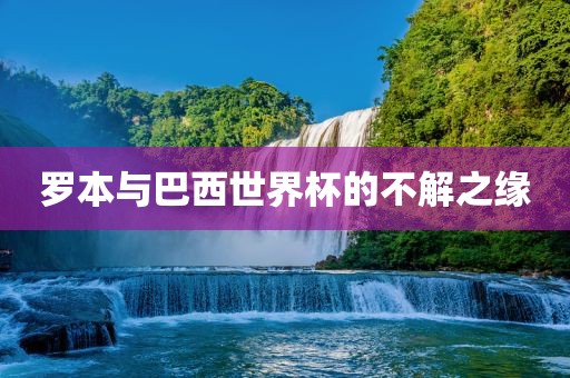 罗本与巴西世界杯的不解之缘