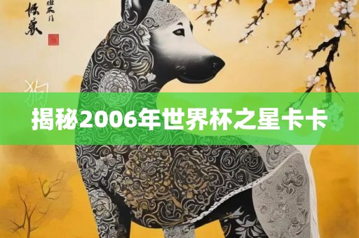 揭秘2006年世界杯之星卡卡