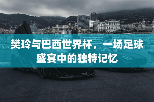 樊玲与巴西世界杯，一场足球盛宴中的独特记忆