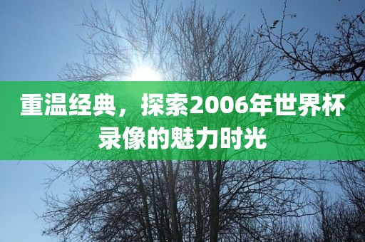 重温经典，探索2006年世界杯录像的魅力时光