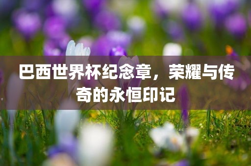 巴西世界杯纪念章，荣耀与传奇的永恒印记