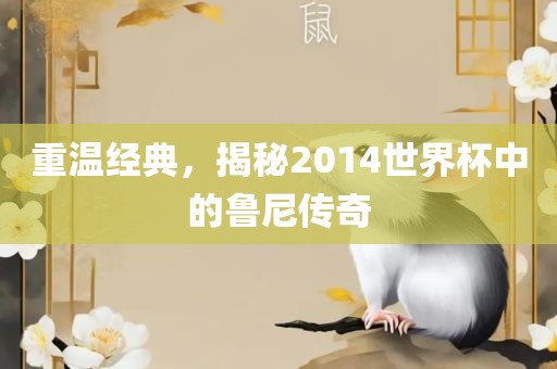 重温经典，揭秘2014世界杯中的鲁尼传奇
