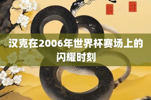 汉克在2006年世界杯赛场上的闪耀时刻