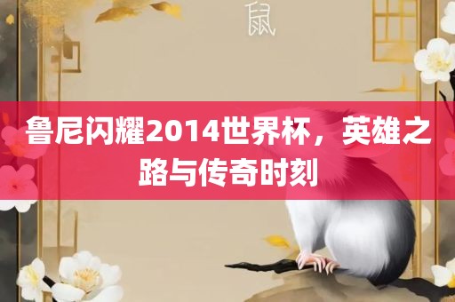 鲁尼闪耀2014世界杯，英雄之路与传奇时刻