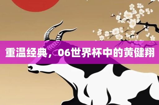 重温经典，06世界杯中的黄健翔