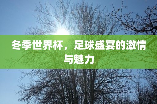 冬季世界杯，足球盛宴的激情与魅力