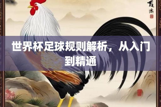 世界杯足球规则解析，从入门到精通金炬实业股份有限公司