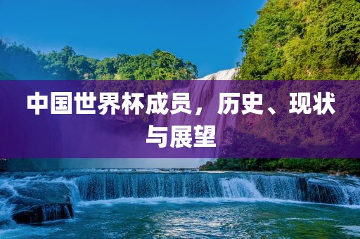 中国世界杯成员，历史、现状与展望