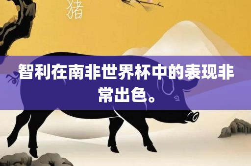 智利在南非世界杯中的表现非常出色。