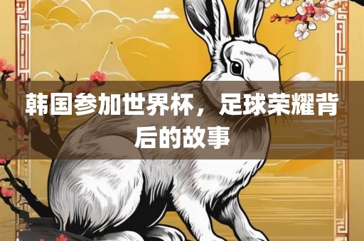 韩国参加世界杯，足球荣耀背后的故事