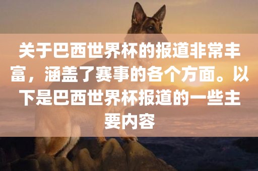 巴西世界杯报道