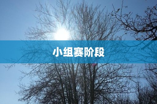 小组赛阶段