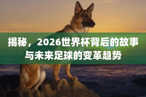 揭秘，2026世界杯背后的故事与未来足球的变革趋势